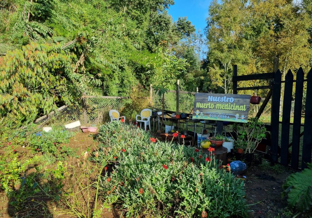 corporacion eco tierra - 20220427_094022