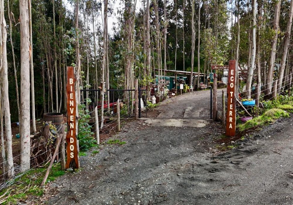 corporacion eco tierra - WhatsApp Image 2025-07-20 at 23.17.43(1)